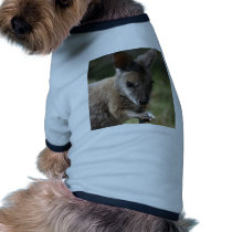 Wallaby pet clothing