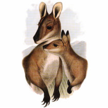 Wallaby Mother and Baby (painting) Acrylic Cut Outs