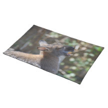 Wallaby Placemat