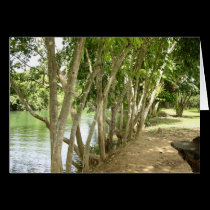Wallace River Card by Firecrackinmama Wallace River Card