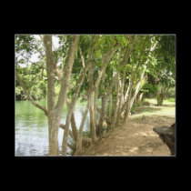 Wallace River postcards by Firecrackinmama Wallace River postcards