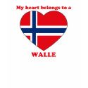 Walle t-shirts