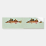 Walleye Bumper Sticker