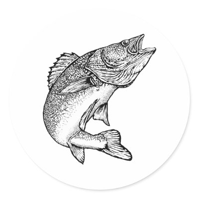 walleye fish pictures