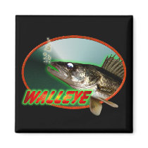 Walleye  In Oval magnets