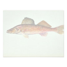 Walleye Personalized Announcement