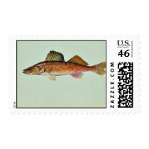Walleye Stamps