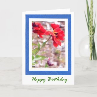 Wallflower Birthday Card