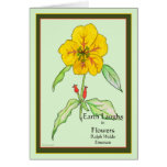 Wallflower Card