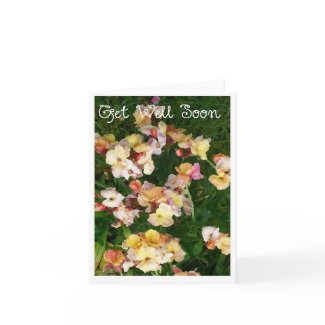 'Wallflowers' Get Well Soon Notecard card