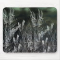 Wallflowers mousepads by dduhaime55 Wallflowers mousepads