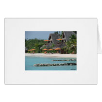 WallJune5x800 cards by jayachand WallJune5x800 cards
