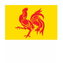 Wallonia Flag T-shirt