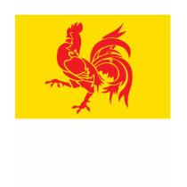 Wallonia Flag T-shirt by FlagTshirts Wallonia Flag T-shirt