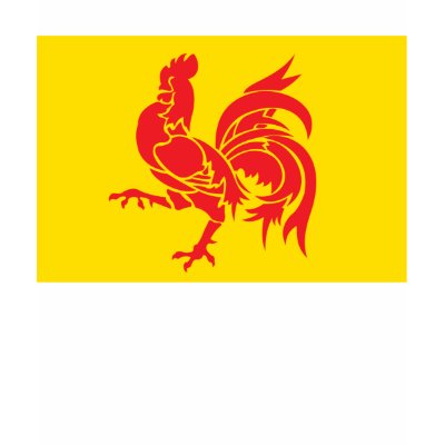 Flag of Nations : Wallonia Flag T-Shirt