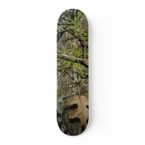 wallpaper3_1024 skateboards by packers404 wallpaper3_1024 skateboards