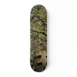 wallpaper3_1024 skate board decks