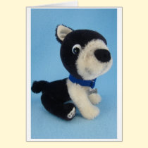 Wally the Boston Terrier cards by dogpatchcritters Wally the Boston Terrier cards