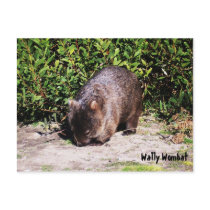 Wally Wombat Postcard