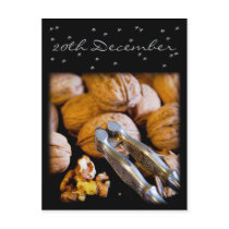 Walnuts • Advent Calendar Postcard by SabineStGreetings Walnuts • Advent Calendar Postcard