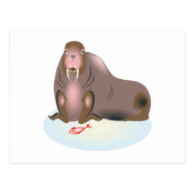 Walrus 2 post card