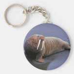 Walrus at Togiak National Wildlife Refuge Key Chain