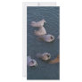 Walrus at Togiak National Wildlife Refuge Rack Card