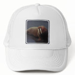 Walrus Baseball Hat