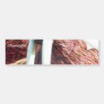 Walrus Bumper Sticker