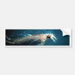 Walrus Bumper Sticker
