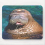 Walrus Eyes Closed Mousepad
