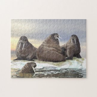 Walrus - Four Brothers Jigsaw Puzzle