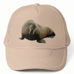 Walrus Hat