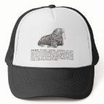 walrus mesh hats