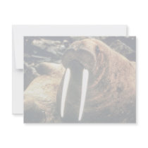 Walrus Personalized Invitation