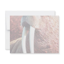 Walrus Custom Invitation