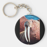 Walrus Keychains