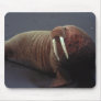 Walrus Mouse Pad