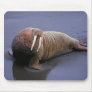 Walrus Mousepads