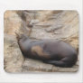 Walrus Usepad