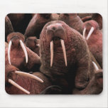Walrus Mousepad
