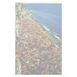 Walrus Custom Stationery