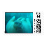 Walrus Swimming Postage Stamp