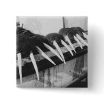 Walrus Tusks: 1931 buttons