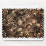 Walruses Mouse Pad mousepads