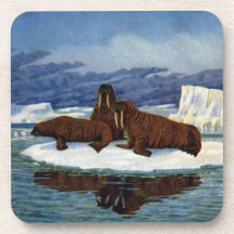 Walruses on an Ice Floe Coasters