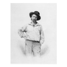 Walt Whitman, frontispiece to 'Leaves of Postcard