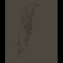 Walt Whitman t-shirts