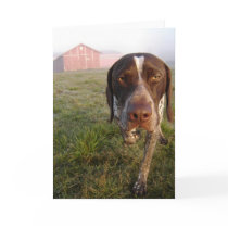 Walter Barn Notecard