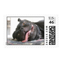 Walter the Pug Stamps